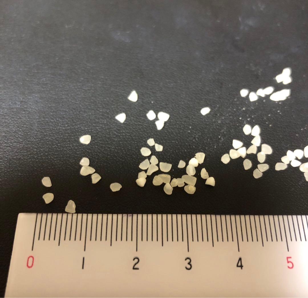 まとめて23kg くず米　鳥の餌などに　割れたお米　白米　精米機