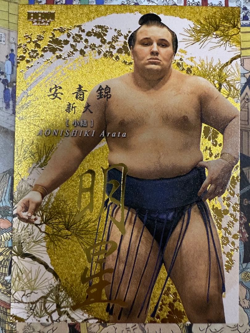 大相撲 BBM 2026 SUMO CARDS インサートカード　明星　安青錦