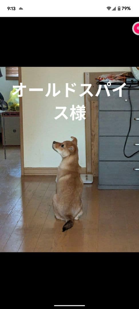 オールドスパイス様　商品ページ