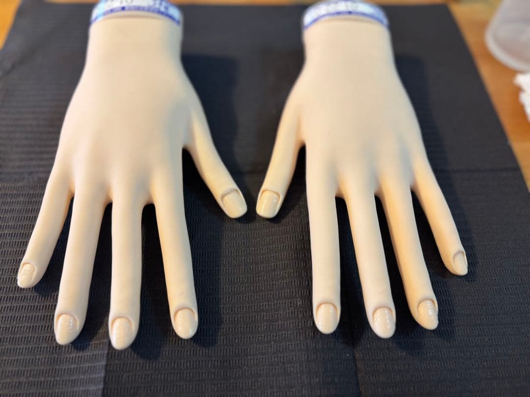 【骨折なし・箱無し】JNEC認定モデルハンド