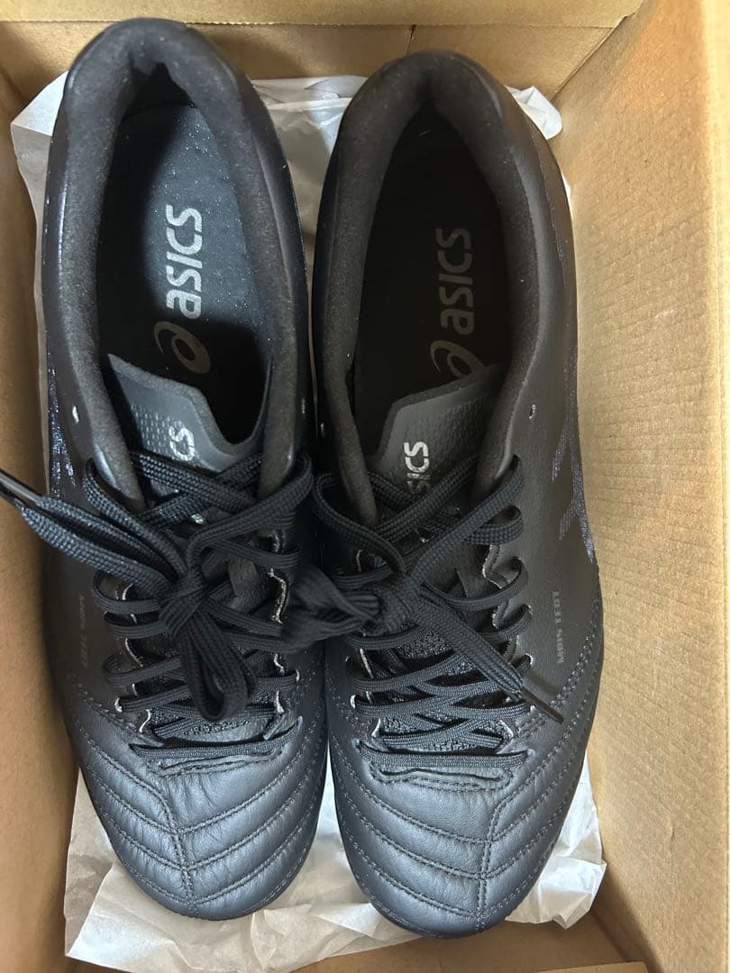 新品未使用 アシックス DSライト エックスフライ プロ 25cm