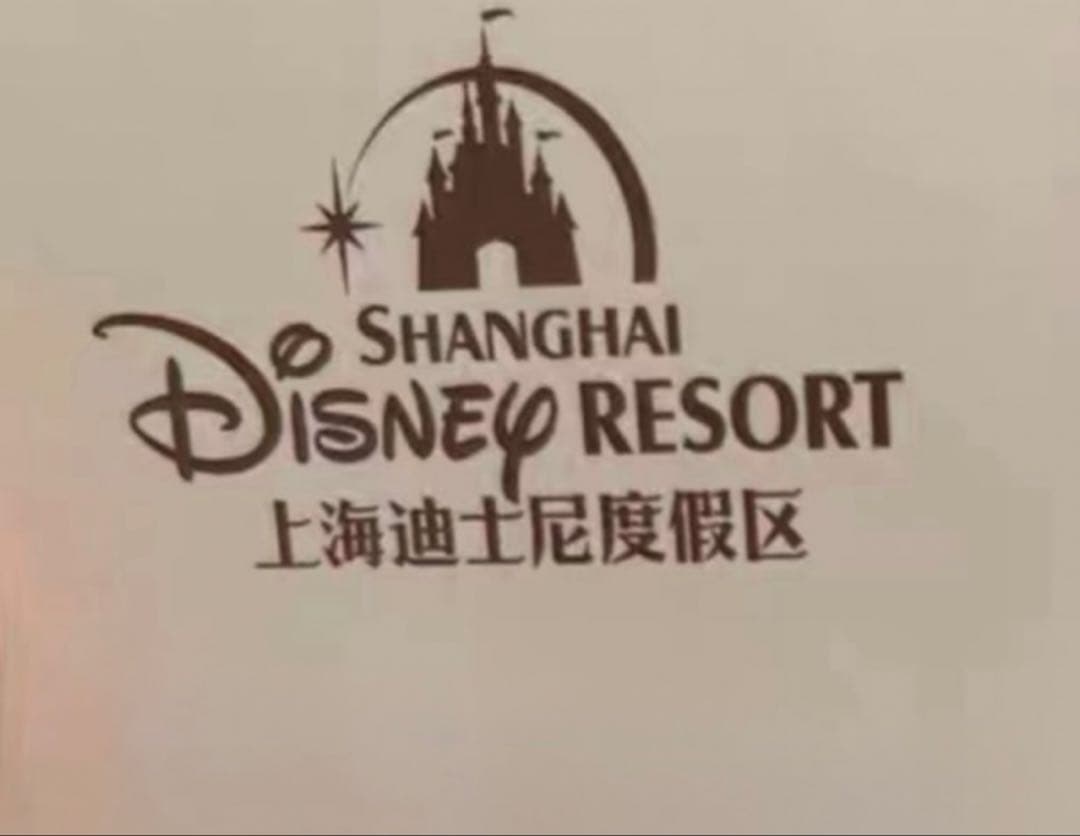 専用　5428 上海ディズニー　リラックス2.0 リーナベル　ぬいぐるみSS