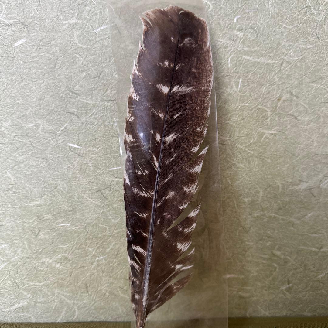 未開栓お酒 ウィスキーワイルドターキー8年 木箱付き1.000ml 50.5%