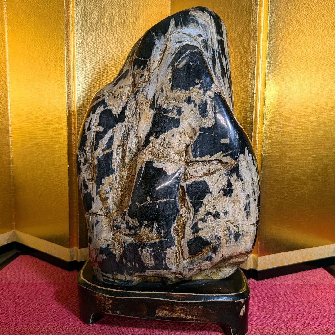 珪化木 9.8㌔ 鑑賞石 観賞石 水石 盆石 天然石 置物