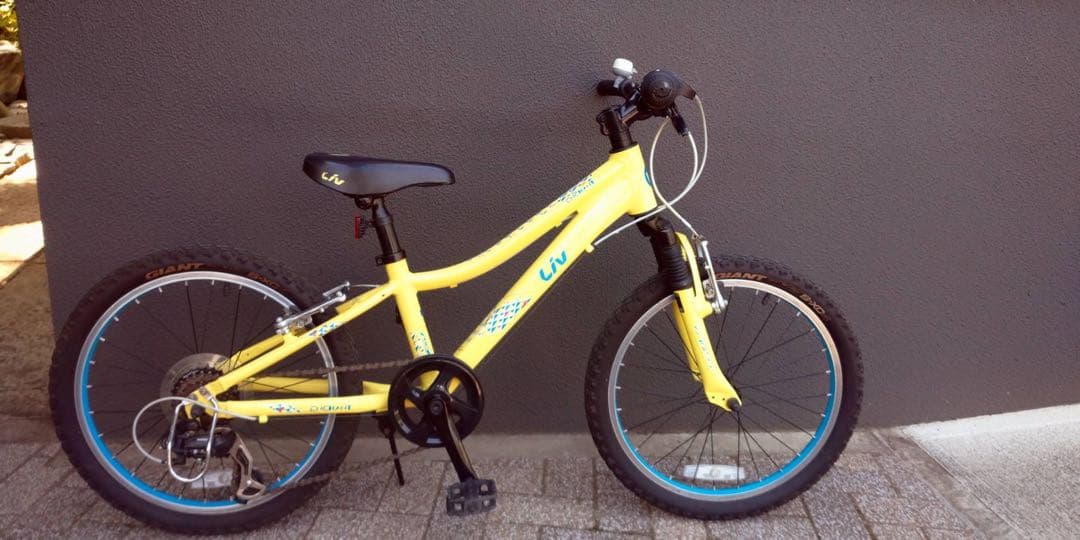 【希少】GIANT Liv マウンテンバイク 20インチ サスペンション付き