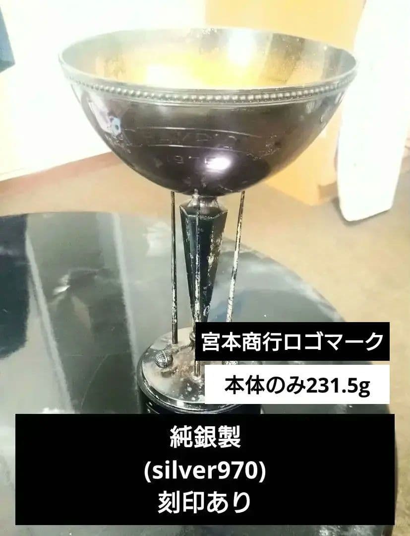 銀製トロフィー(silver970)