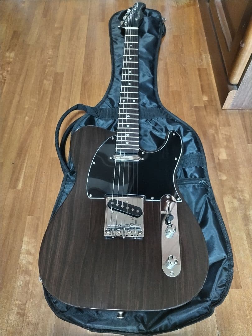 Bacchus エレキギター ダークウッド