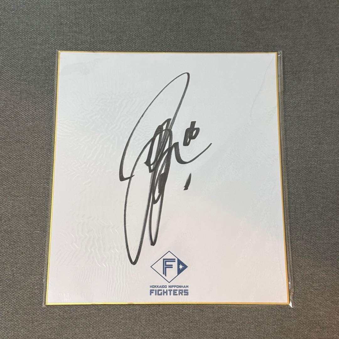北海道日本ハムファイターズ 達孝太 直筆サイン色紙 沖縄キャンプ！ユニフォーム