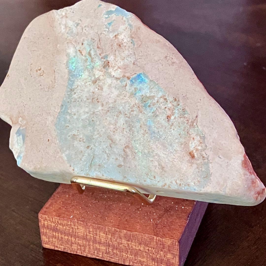 プレシオサウルスのヒレ骨 オパール 化石 標本 オーストラリア クーバーペディ産