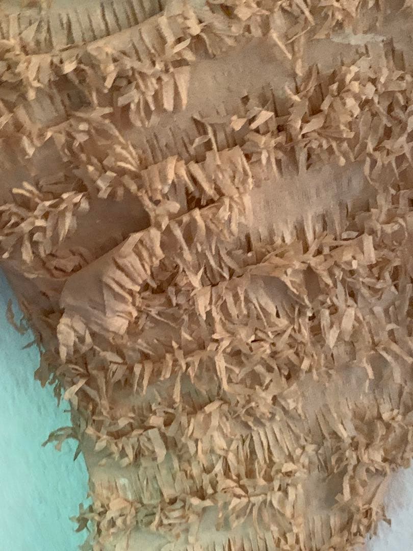 フランスアンティーク パピエの羽 オブジェ ブロカント