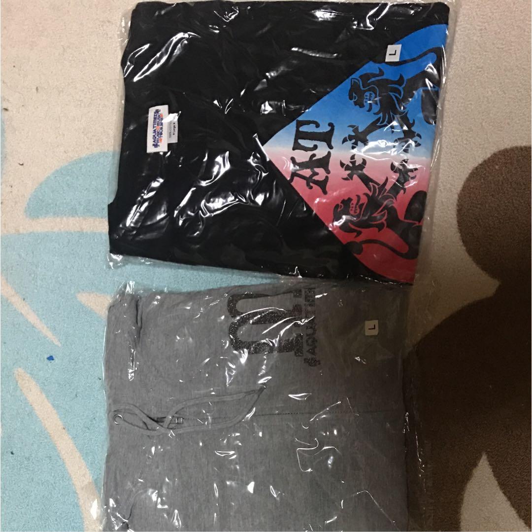 ミュージシャン aqua timez