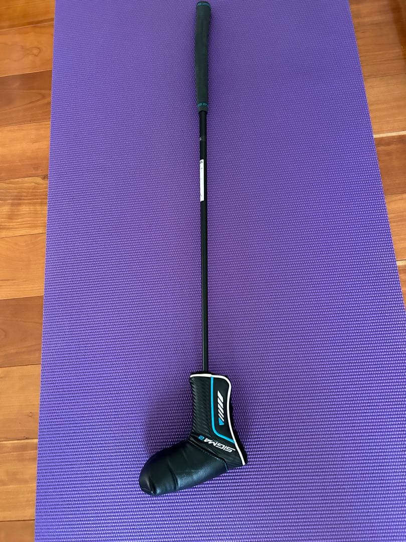 PINGアンサーSIGMA2、34インチ