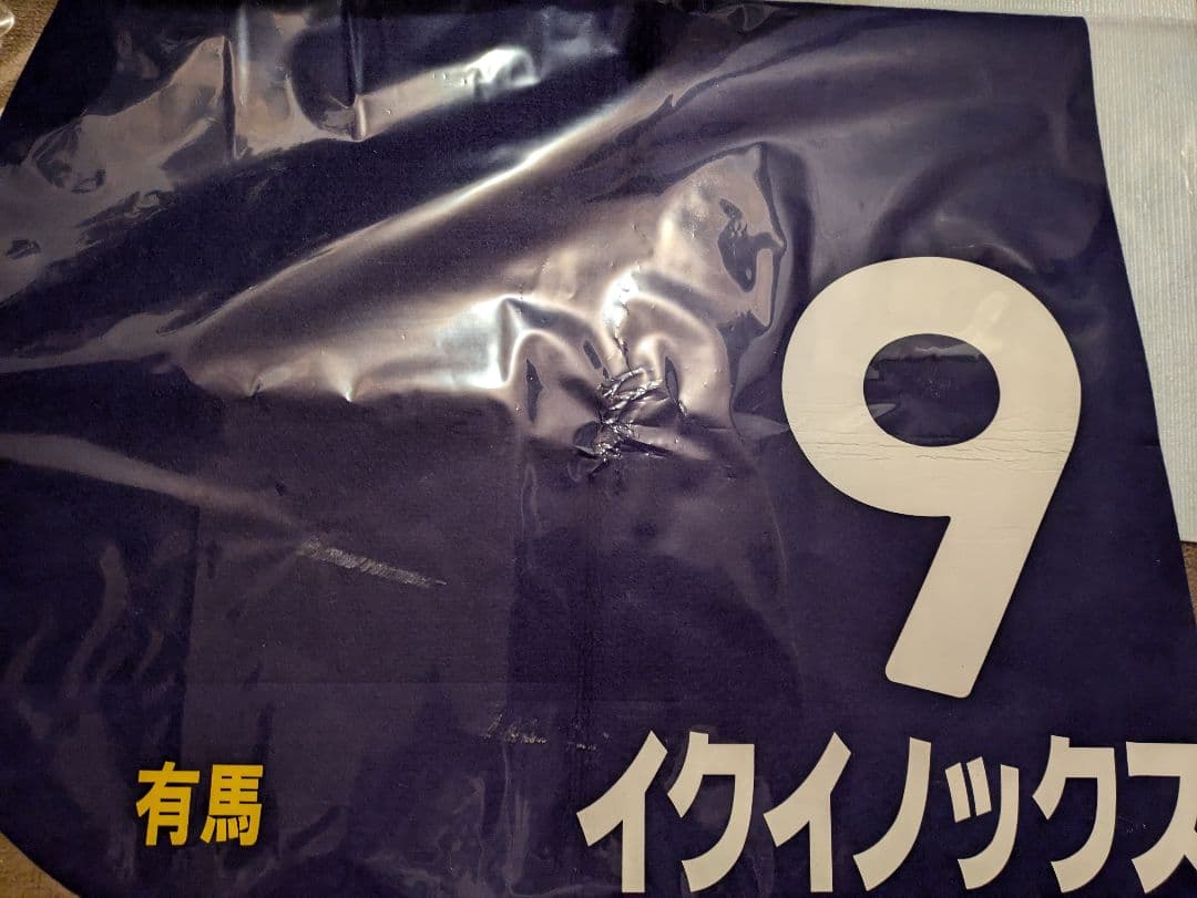 【C.ルメール直筆サイン】イクイノックスレプリカゼッケン　有馬記念