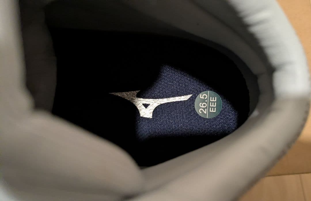 MIZUNO　安全靴　ALMIGHTY LS II 73M BOA　新品未使用