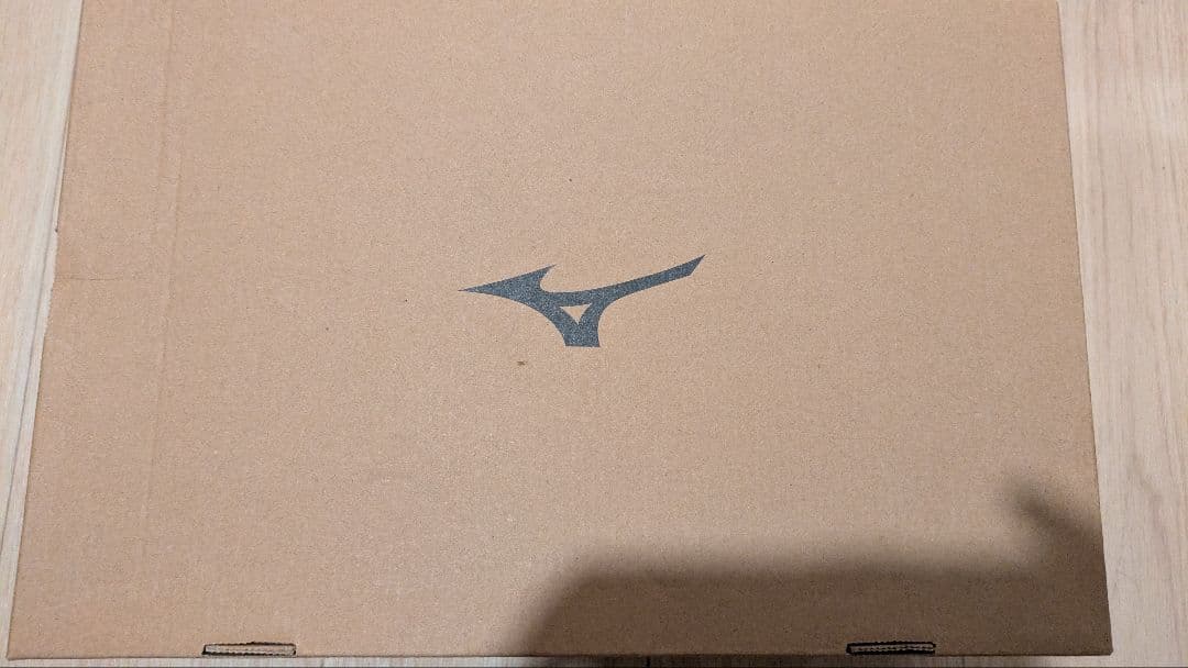 MIZUNO　安全靴　ALMIGHTY LS II 73M BOA　新品未使用