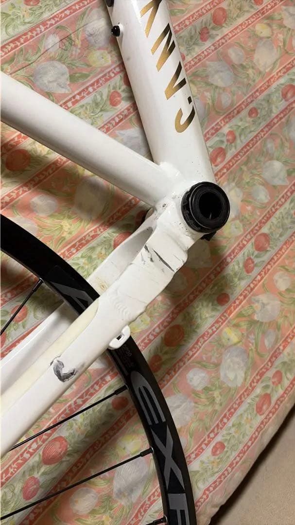 引取可 canyon stoic 2 Mサイズ フレームセット