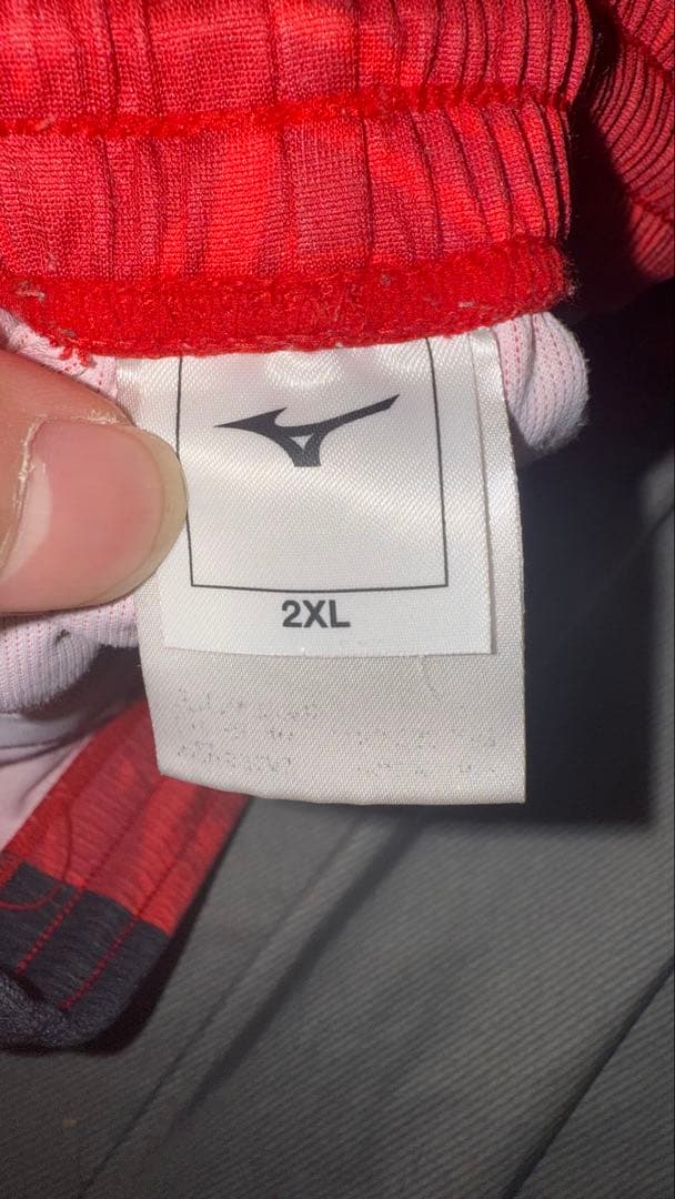 日本大学ゲーパンMizuno 2XL 赤 グラフィックパンツ