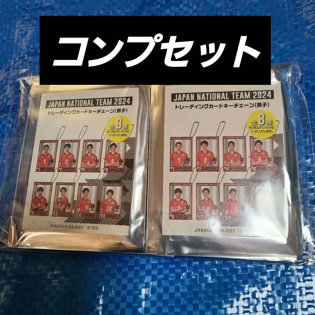 男子バレー日本代表 トレーディングカードキーチェーン コンプリートセット