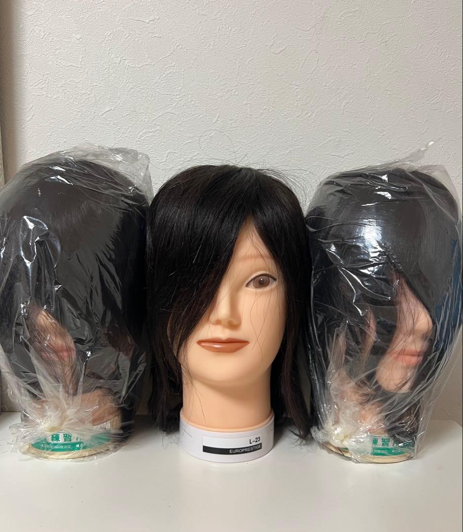 練習用カットウィッグ3体