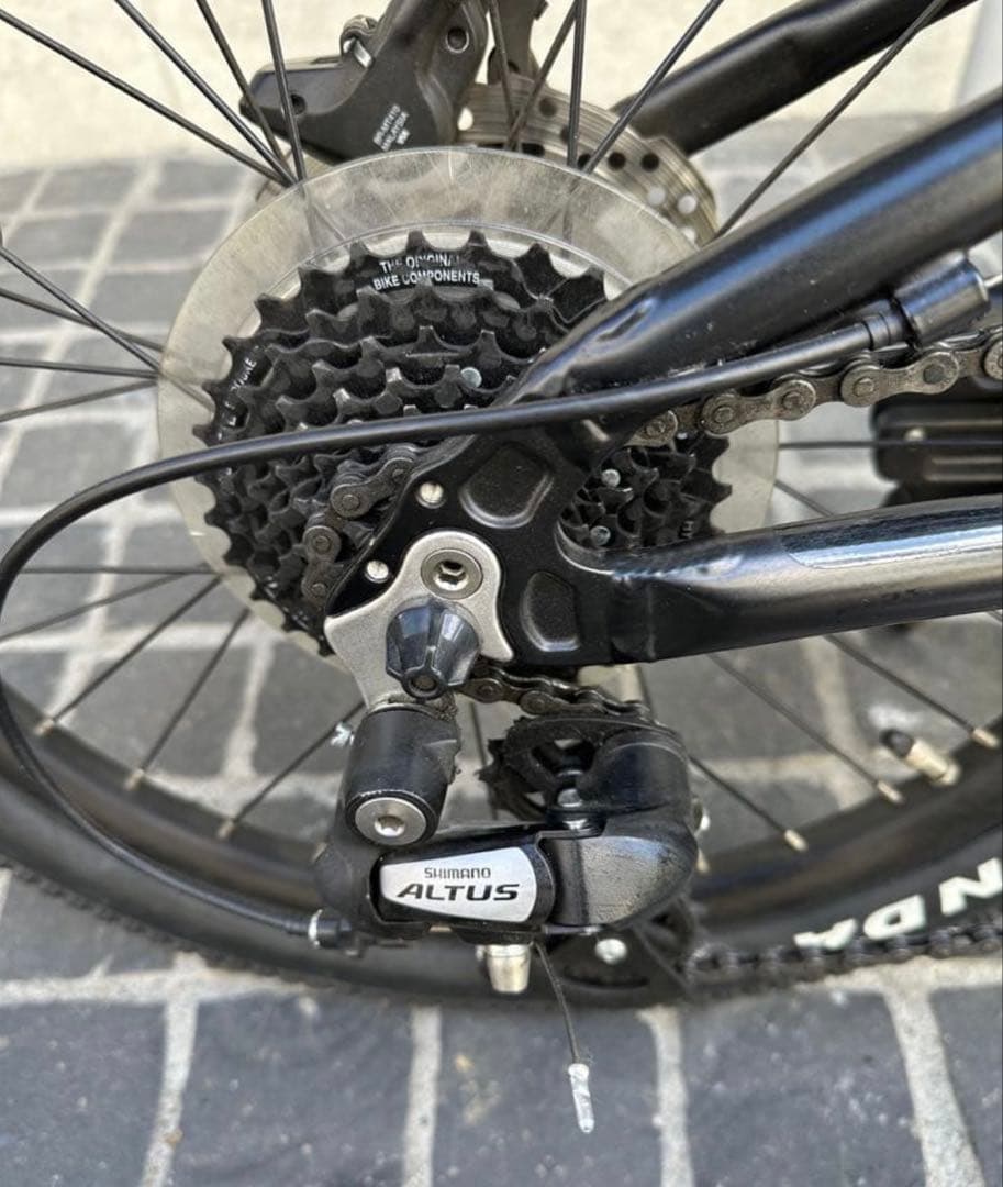 ルイガノEASEL-E　（ミニベロEバイク）