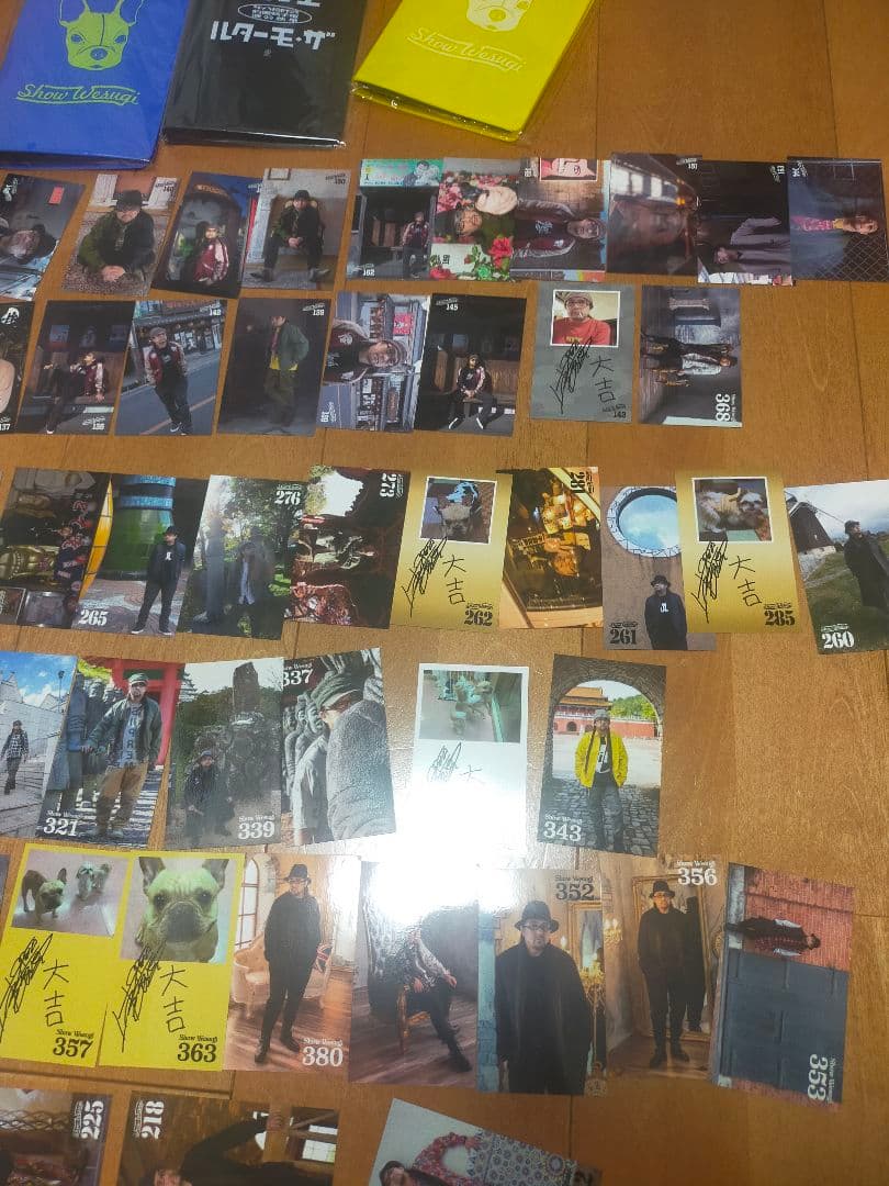 上杉昇　WANDS　コレクタブルカード　セット　ファイル