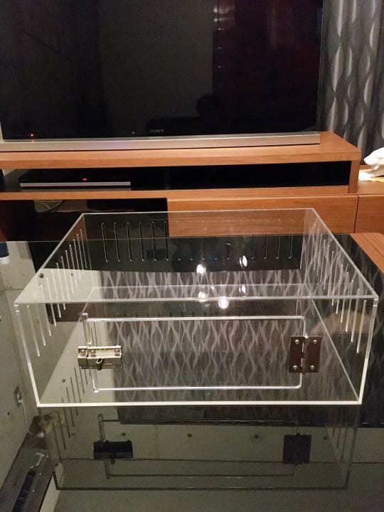 爬虫類ゲージ アクリルゲージ 【 No.1 】