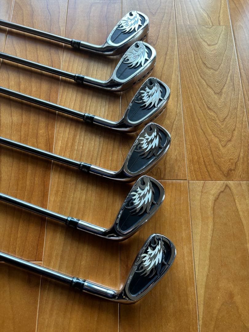 エミリットバハマ中空アイアンセット（5-P、6本）