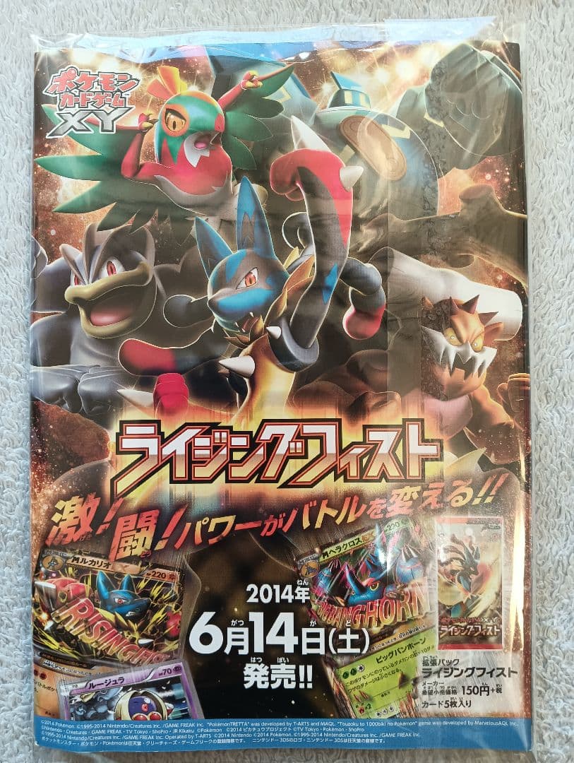 【新品未開封、冊子付き】日本代表のピカチュウ ポケモンNewモン! Book付録
