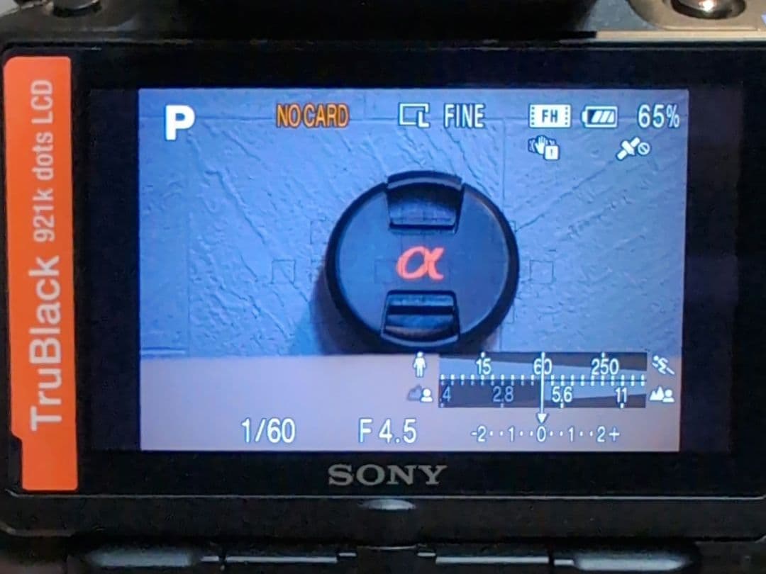 【望遠レンズ付き】SONY α55