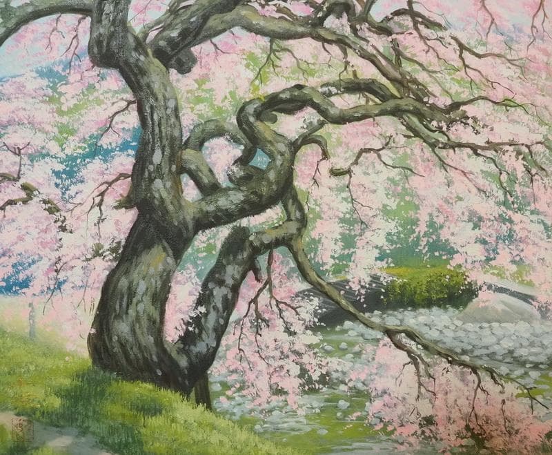 【値下げ】 風景画　油絵　中島千波　桜花　F8　額付き　手描き　肉筆