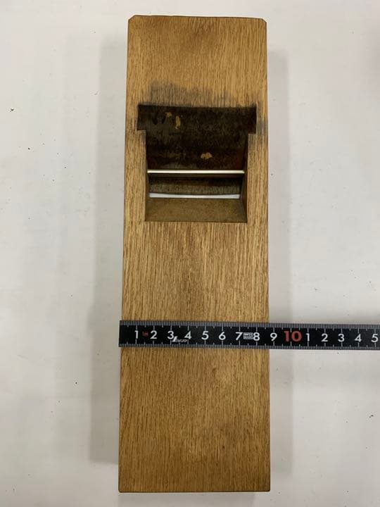 カンナ 土牛巨匠 白樫台