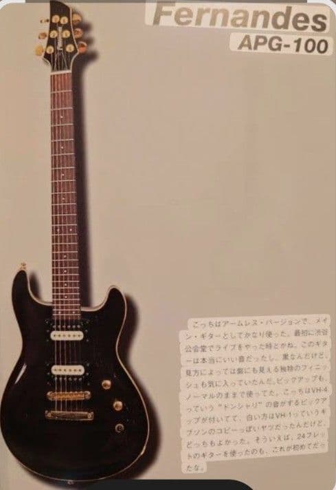 FERNANDES APG 100 24F仕様