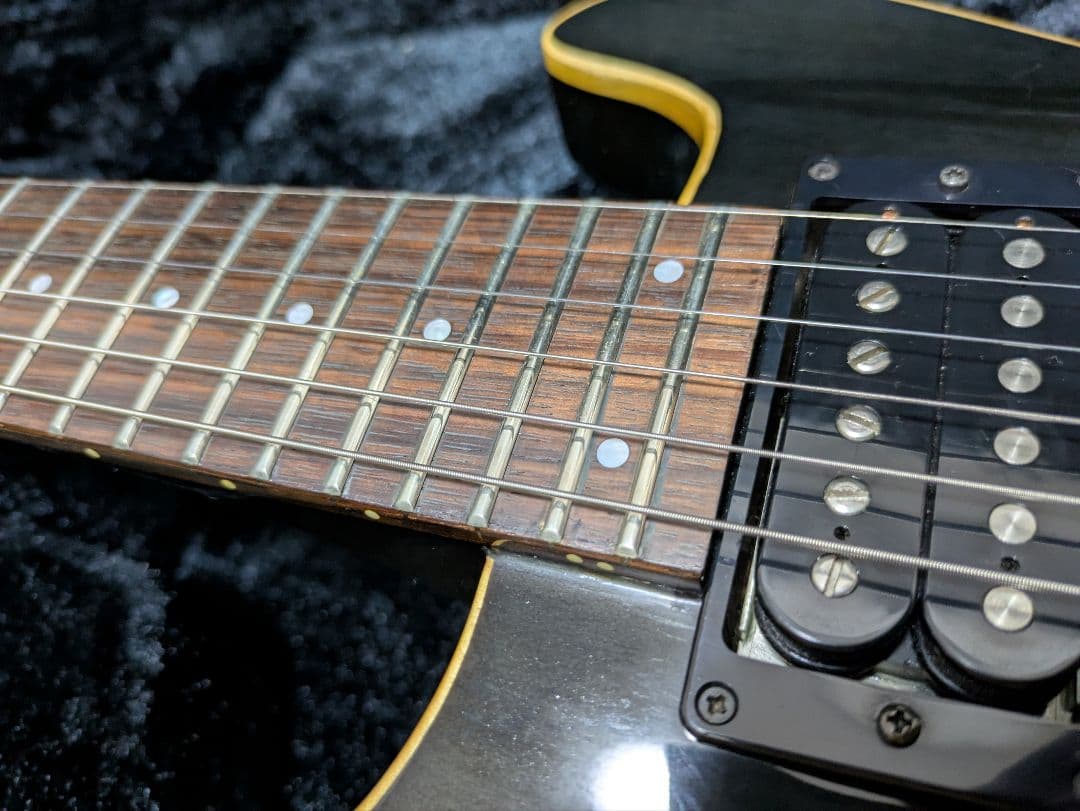FERNANDES APG 100 24F仕様