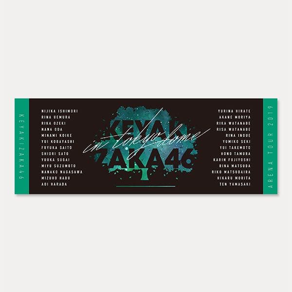 TOKYO DOME メンバー名入り 箱推しスポーツタオル