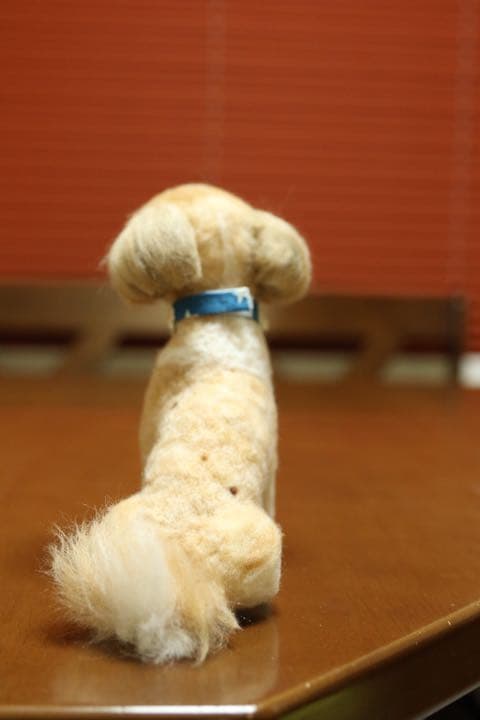 羊毛フェルト　シーズー