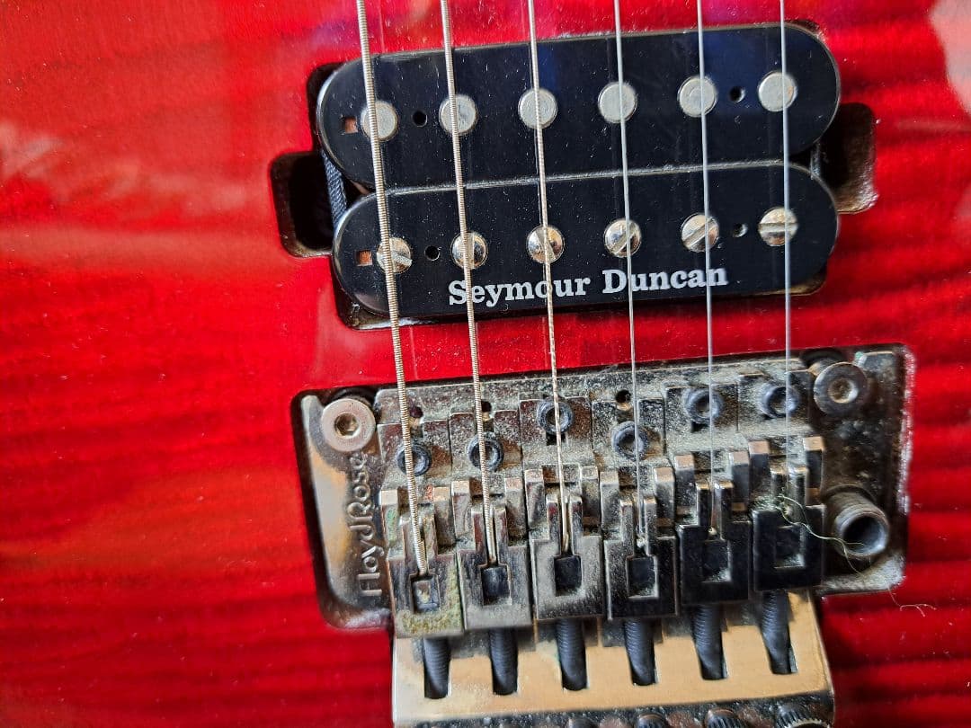 【貴重/生産終了】Washburn PXS10FRDLXWB-D