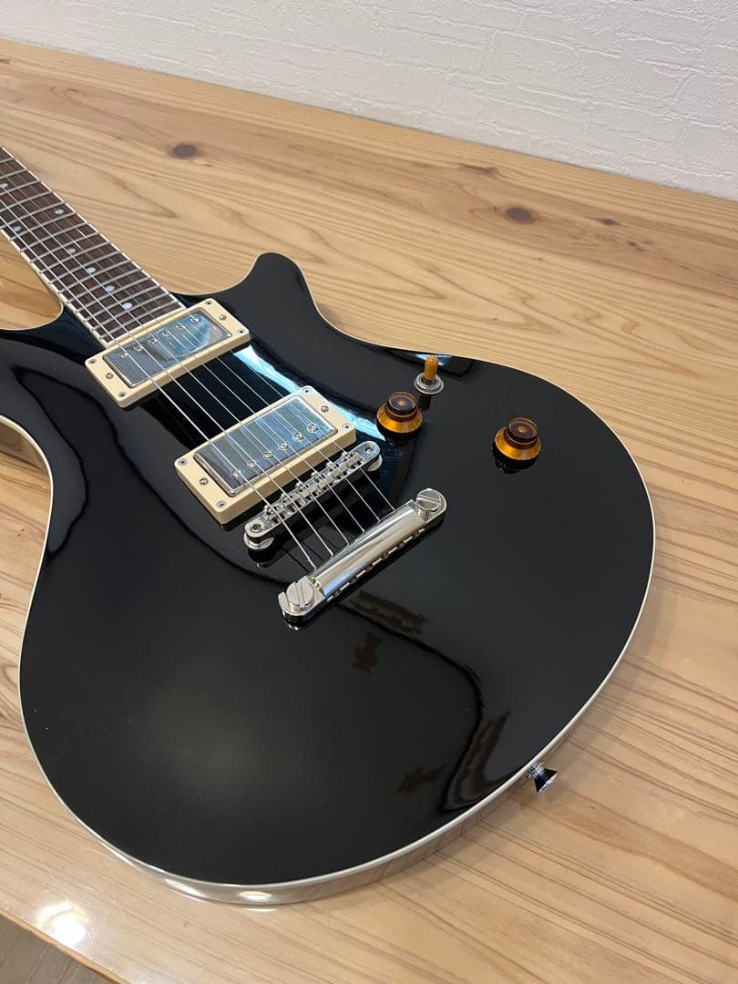 EDWARDS E-PO-100D Seymour Duncan PU搭載