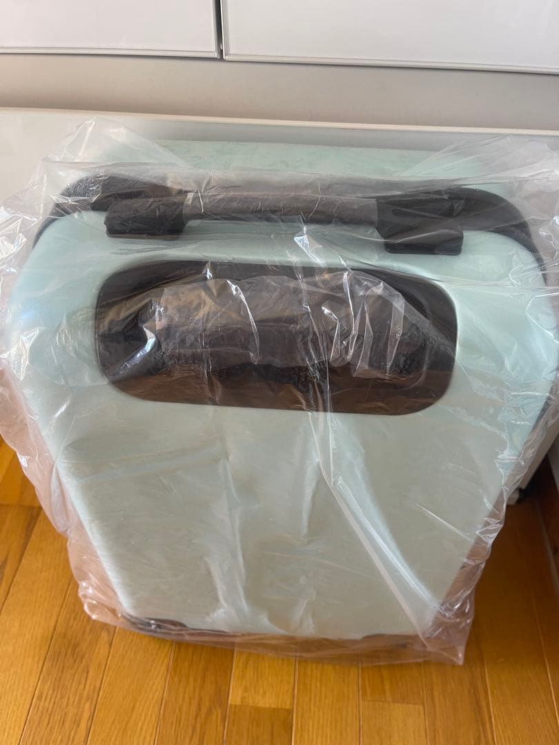 Mrs. GREEN APPLE キャリーケース