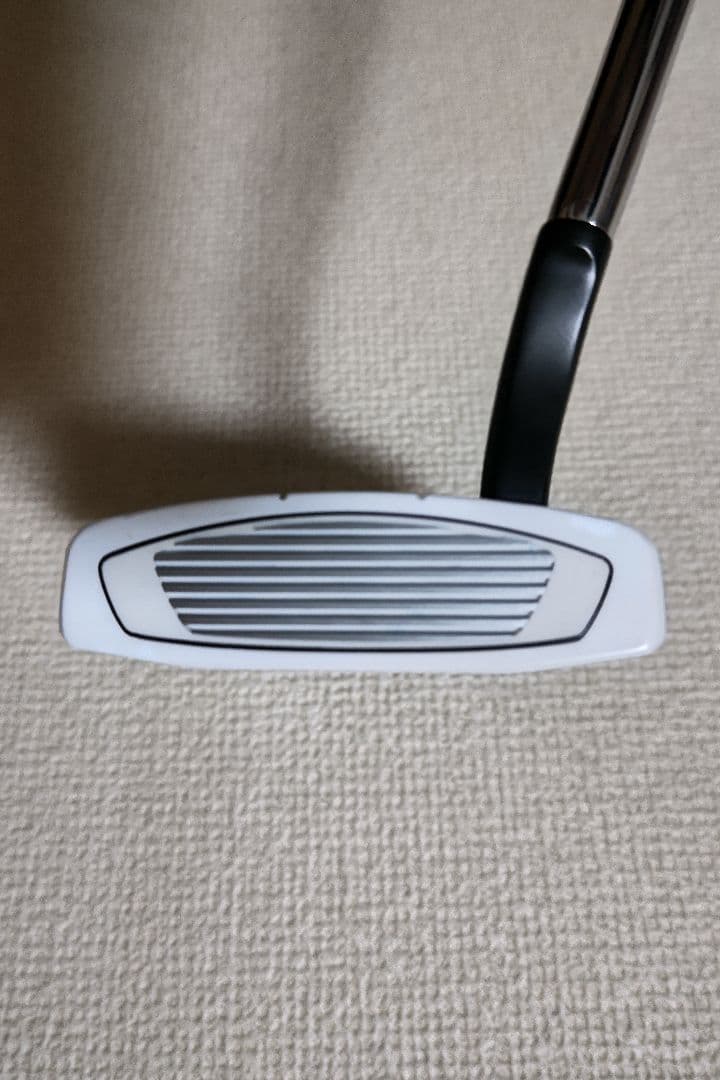 テーラーメイド Spider EX プラチナム SMALL SLANT