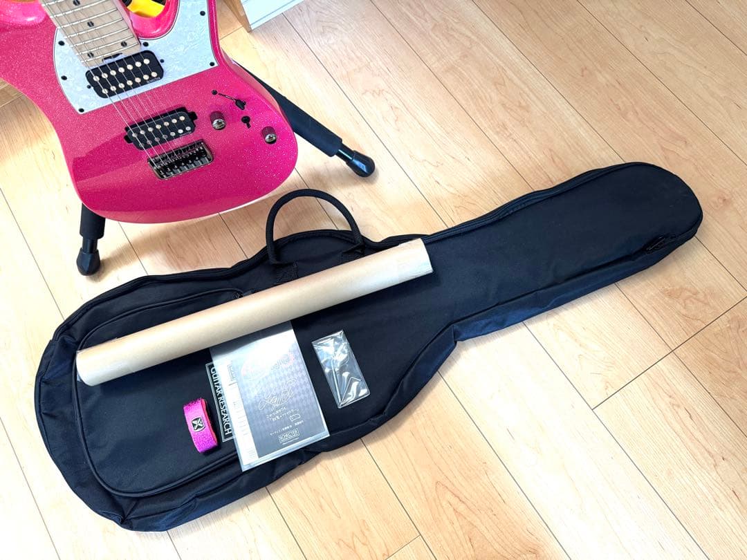 SCHECTER BC-AveMujica Mortis モーティス　7弦ギター