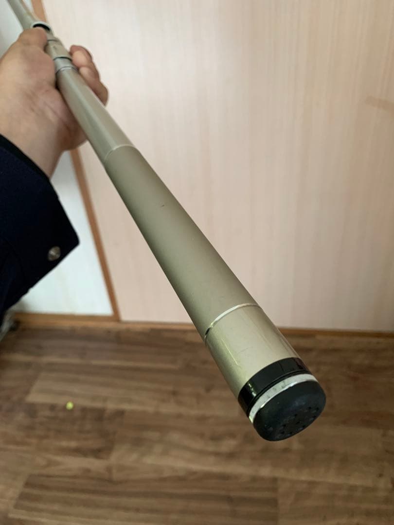 ダイワ(DAIWA) スピニング ロッド 波濤 磯 3-53遠投 釣り竿