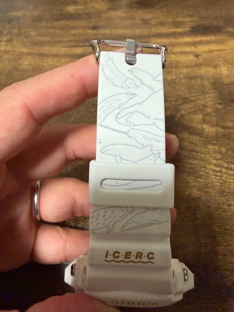 CASIO G-SHOCK GW-6904k-7JR カシオ イルクジ 30周年