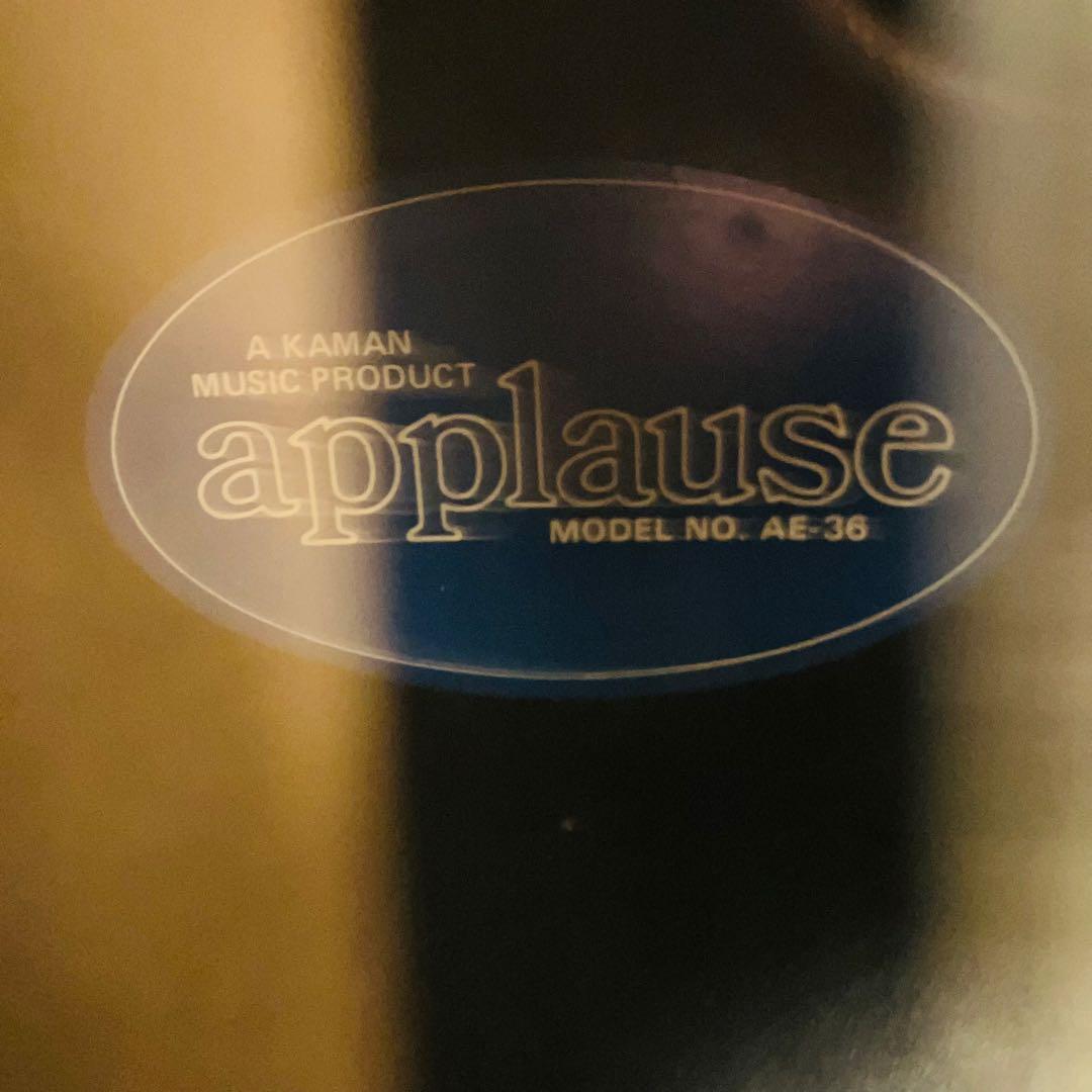 1月限定出品 【GOTOHペグ交換】エレアコAPPLAUSE AE 36