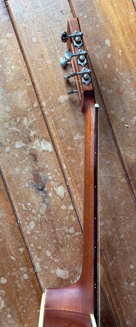 エレアコ DCT F-200E Fishman搭載