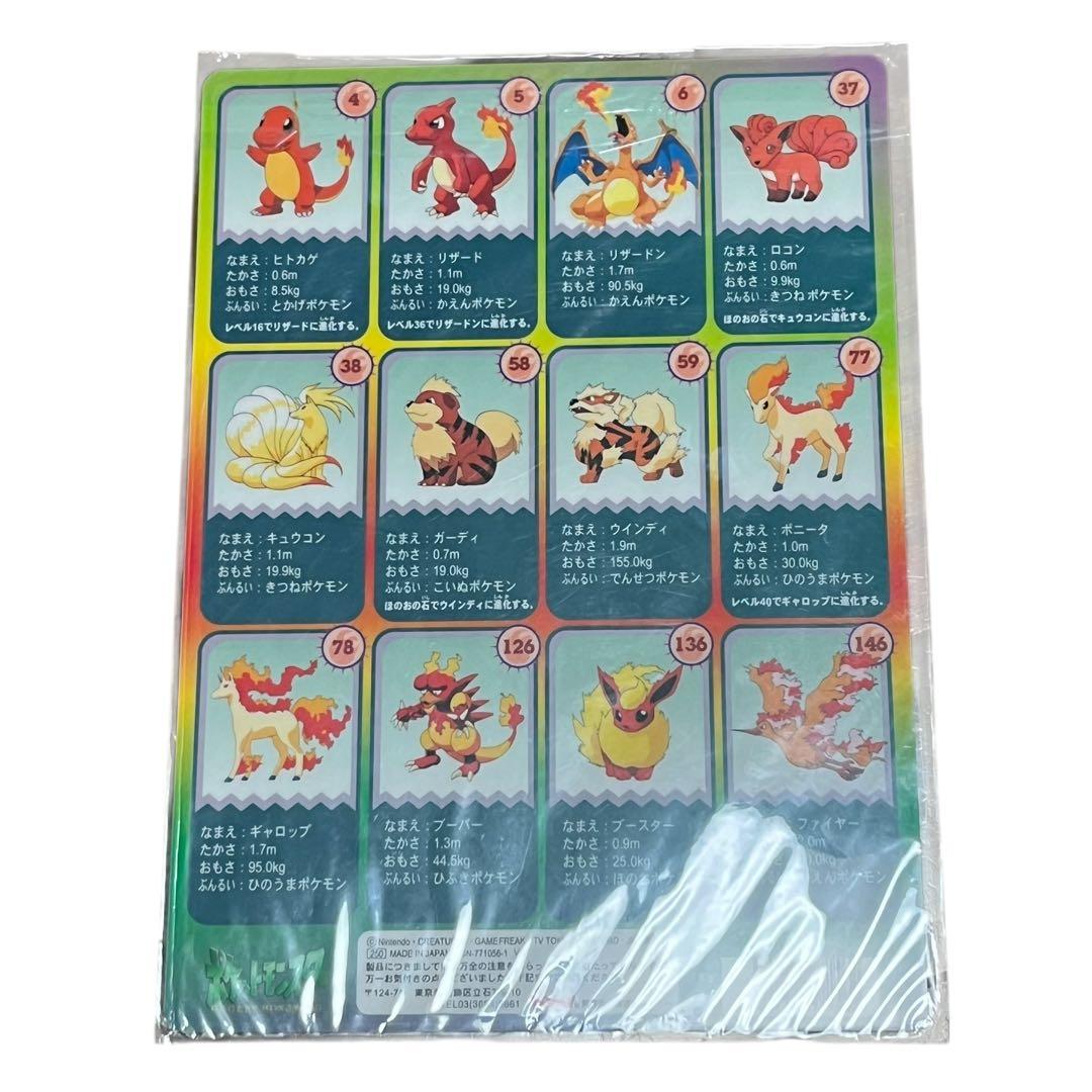 ポケットモンスター 下敷き 炎のポケモン トミー製 リザードン ステッカー付き