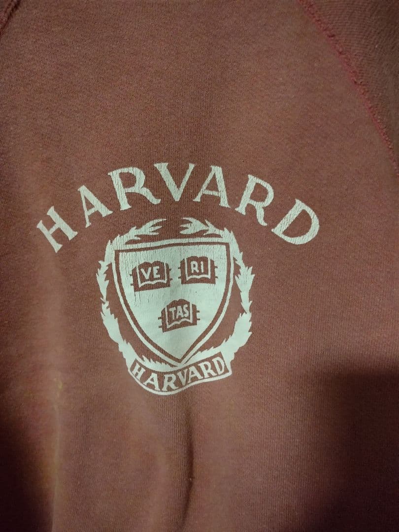 60s チャンピオンランタグ　ビンテージスウェットハーバード　サーモンピンク中C