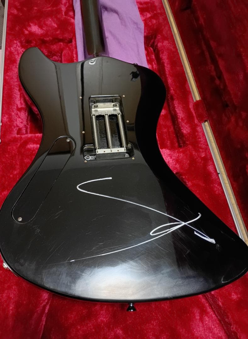 【SUGIZO直筆サイン入り！】 LUNASEA　TLRS　　　ESP R-Ⅰ