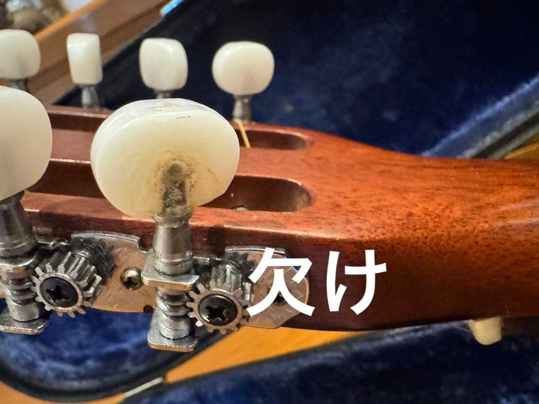 激レア Morris special スロテッドヘッド 12弦