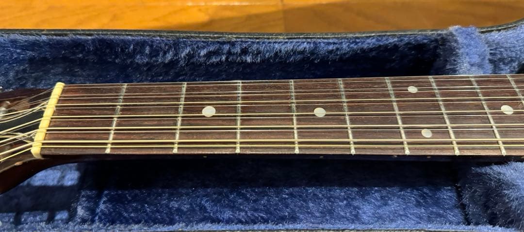 激レア Morris special スロテッドヘッド 12弦