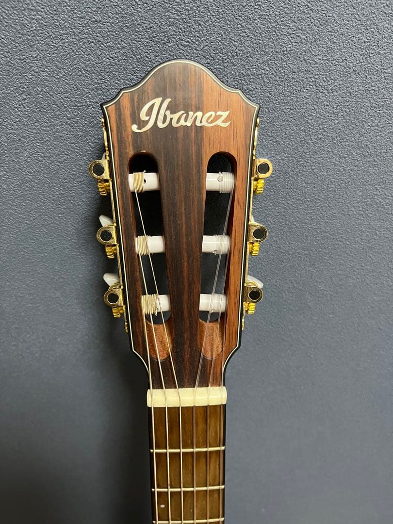 ギター Ibanez FRH10N